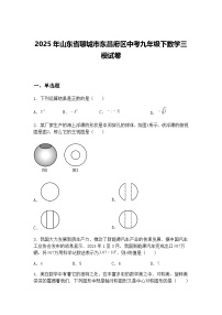 2025年山东省聊城市东昌府区中考九年级下数学三模试卷（含答案解析）