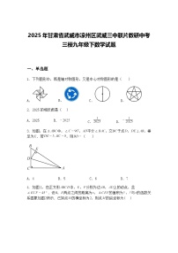 2025年甘肃省武威市凉州区武威三中联片教研中考三模九年级下数学试题（含答案解析）