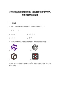 2025年山东省聊城市莘县、东阿县多校联考中考九年级下数学三模试卷（含答案解析）