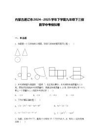 内蒙古通辽市2024--2025学年下学期九年级下三模数学中考模拟卷（含答案解析）