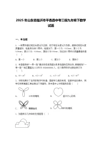 2025年山东省临沂市平邑县中考三模九年级下数学试题（含答案解析）
