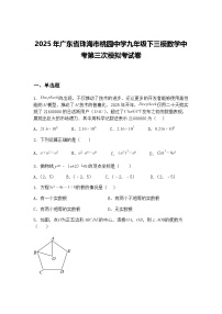 2025年广东省珠海市桃园中学九年级下三模数学中考第三次模拟考试卷（含答案解析）