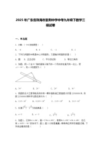 2025年广东省珠海市紫荆中学中考九年级下数学三模试卷（含答案解析）