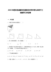2025年四川省成都市石室联合中学中考九年级下三模数学三诊试卷（含答案解析）