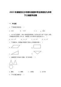 2025年湖南省长沙市雅礼集团中考全真模拟九年级下三模数学试卷（含答案解析）