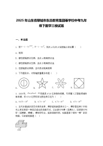 2025年山东省聊城市东昌教育集团等学校中考九年级下数学三模试题（含答案解析）