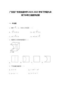 广东省广州市执信中学2024-2025学年下学期九年级下中考三模数学试卷（含答案解析）