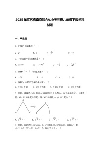 2025年江苏省南京联合体中考三模九年级下数学科试题（含答案解析）