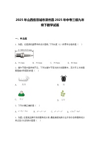 2025年山西省晋城市泽州县2025年中考三模九年级下数学试题（含答案解析）