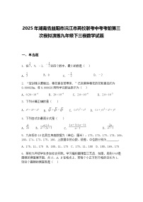 2025年湖南省益阳市沅江市两校联考中考考前第三次模拟演练九年级下三模数学试题（含答案解析）