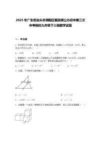 2025年广东省汕头市潮阳区铜盂镇公办初中第三次中考模拟九年级下三模数学试题（含答案解析）