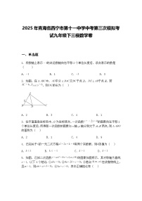 2025年青海省西宁市第十一中学中考第三次模拟考试九年级下三模数学卷（含答案解析）