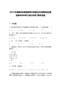 2025年海南省省直辖县级行政单位乐东黎族自治县民族中学中考三模九年级下数学试题（含答案解析）