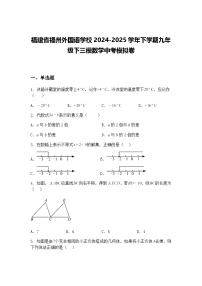 福建省福州外国语学校2024-2025学年下学期九年级下三模数学中考模拟卷（含答案解析）