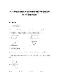 2025年黑龙江省齐齐哈尔市部分学校中考四模九年级下三模数学试题（含答案解析）