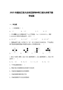 2025年黑龙江省大庆市区联考中考三模九年级下数学试题（含答案解析）