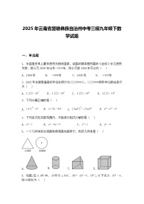 2025年云南省楚雄彝族自治州中考三模九年级下数学试题（含答案解析）