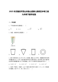 2025年河南省平顶山市鲁山县第七教研区中考三模九年级下数学试题（含答案解析）