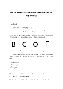 2025年陕西省西安市莲湖区多校中考模考三模九年级下数学试题（含答案解析）