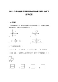 2025年山东省青岛实验初级中学中考三模九年级下数学试题（含答案解析）