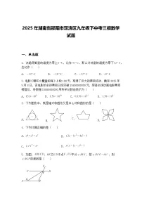 2025年湖南省邵阳市双清区九年级下中考三模数学试题（含答案解析）