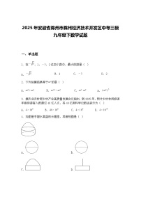 2025年安徽省滁州市滁州经济技术开发区中考三模九年级下数学试题（含答案解析）