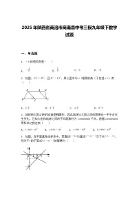 2025年陕西省商洛市商南县中考三模九年级下数学试题（含答案解析）