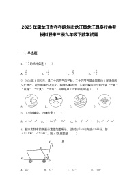 2025年黑龙江省齐齐哈尔市龙江县龙江县多校中考模拟联考三模九年级下数学试题（含答案解析）