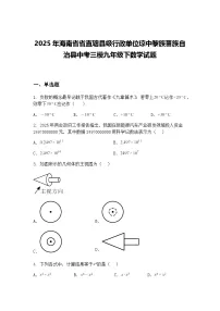 2025年海南省省直辖县级行政单位琼中黎族苗族自治县中考三模九年级下数学试题（含答案解析）