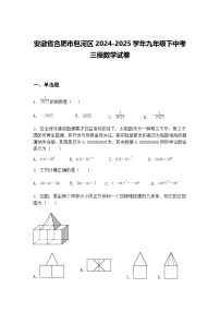 安徽省合肥市包河区2024-2025学年九年级下中考三模数学试卷（含答案解析）