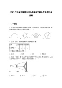 2025年山东省淄博市博山区中考三模九年级下数学试卷（含答案解析）