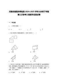 河南省南阳市桐柏县2024-2025学年九年级下学期第三次联考三模数学试题试卷（含答案解析）