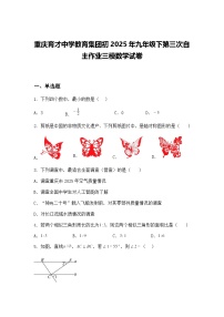 重庆育才中学教育集团初2025年九年级下第三次自主作业三模数学试卷（含答案解析）