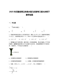 2025年河南省周口市商水县几校联考三模九年级下数学试题（含答案解析）
