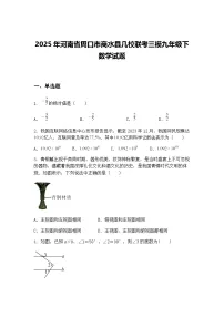 2025年河南省周口市商水县几校联考三模九年级下数学试题（含答案解析）