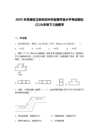 2025年青海省玉树市初中毕业暨学业水平考试模拟(三)九年级下三模数学（含答案解析）