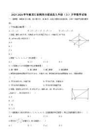 2025-2026学年黑龙江省鹤岗市绥滨县九年级（上）开学数学试卷-自定义类型
