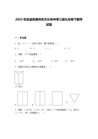2025年安徽省滁州市天长市中考三模九年级下数学试题（含答案解析）