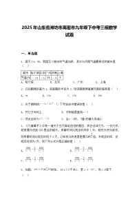 2025年山东省潍坊市高密市九年级下中考三模数学试题（含答案解析）