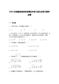 2025年湖南省株洲市荷塘区中考三模九年级下数学试卷（含答案解析）