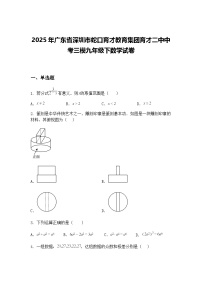 2025年广东省深圳市蛇口育才教育集团育才二中中考三模九年级下数学试卷（含答案解析）