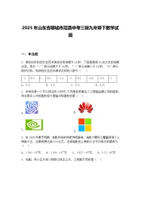 2025年山东省聊城市冠县中考三模九年级下数学试题（含答案解析）