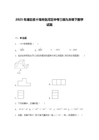 2025年湖北省十堰市张湾区中考三模九年级下数学试题（含答案解析）