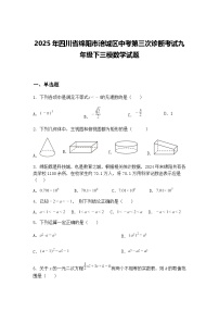 2025年四川省绵阳市涪城区中考第三次诊断考试九年级下三模数学试题（含答案解析）