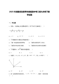 2025年湖南省张家界市桑植县中考三模九年级下数学试题（含答案解析）