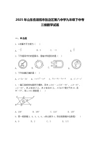 2025年山东省淄博市张店区第八中学九年级下中考三模数学试题（含答案解析）