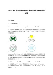 2025年广东省清远市清新区中考三模九年级下数学试题（含答案解析）