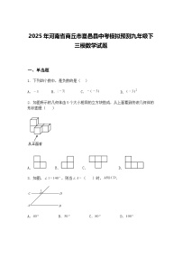 2025年河南省商丘市夏邑县中考模拟预测九年级下三模数学试题（含答案解析）