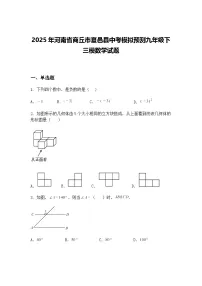 2025年河南省商丘市夏邑县中考模拟预测九年级下三模数学试题（含答案解析）