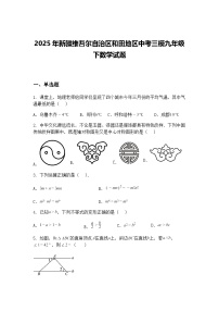2025年新疆维吾尔自治区和田地区中考三模九年级下数学试题（含答案解析）